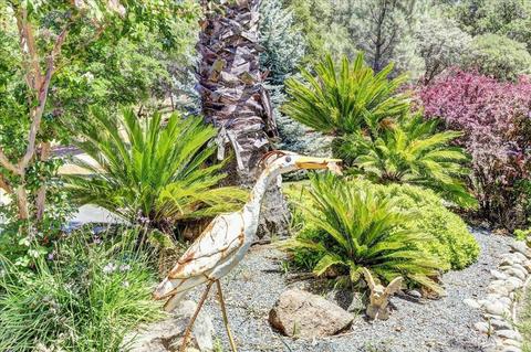 10389 Sunset View Ct, Grass Valley, CA 95949 photo 54