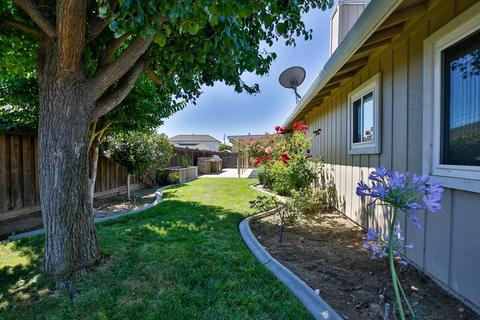 954 N Manley Rd, Ripon, CA 95366 photo 31