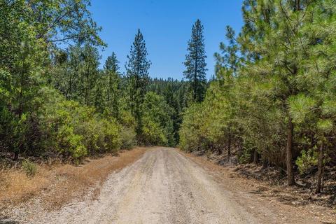 19841 Markley Mine Rd, Volcano, CA 95689 photo 17