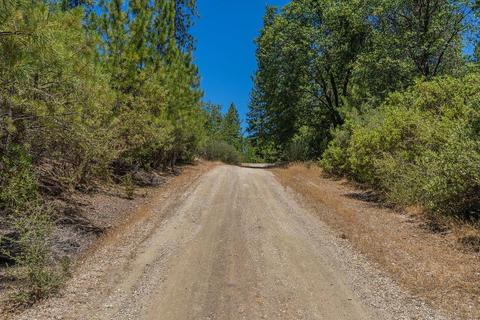 19841 Markley Mine Rd, Volcano, CA 95689 photo 18