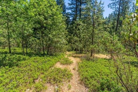 19841 Markley Mine Rd, Volcano, CA 95689 photo 12