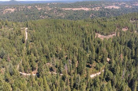 19841 Markley Mine Rd, Volcano, CA 95689 photo 26