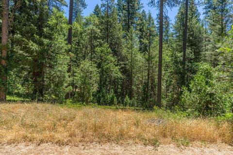 19841 Markley Mine Rd, Volcano, CA 95689 photo 8
