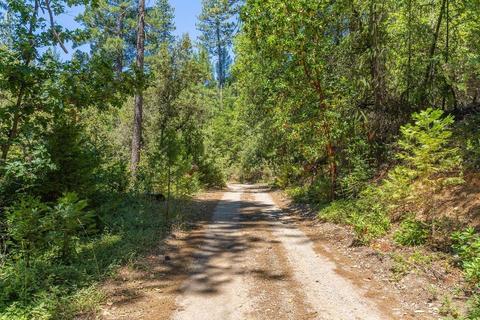 19841 Markley Mine Rd, Volcano, CA 95689 photo 22