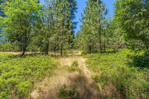 19841 Markley Mine Rd, Volcano, CA 95689 photo 11