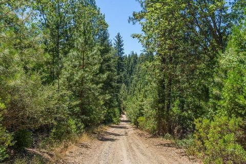 19841 Markley Mine Rd, Volcano, CA 95689 photo 19