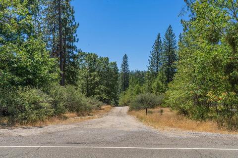 19841 Markley Mine Rd, Volcano, CA 95689 photo 15