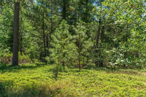 19841 Markley Mine Rd, Volcano, CA 95689 photo 7