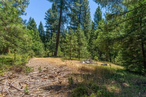 19841 Markley Mine Rd, Volcano, CA 95689 photo 6