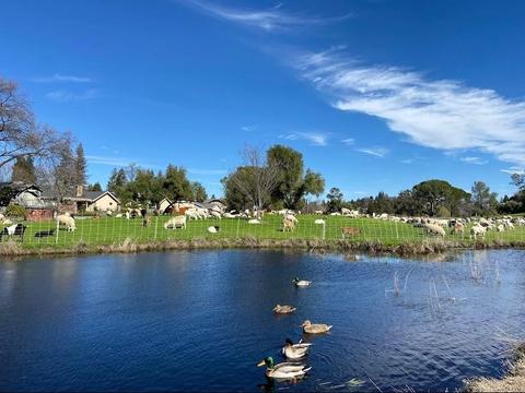 4295 Midas Ave, Rocklin, CA 95677 photo 39