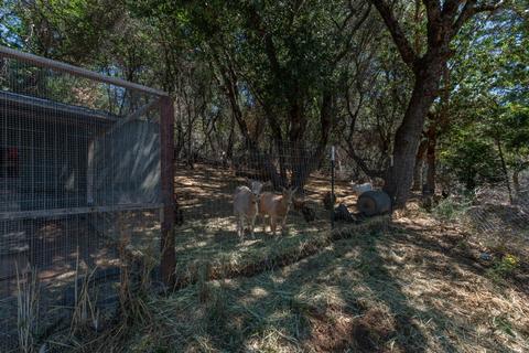 3121 Nugget Dr, Placerville, CA 95667 photo 38