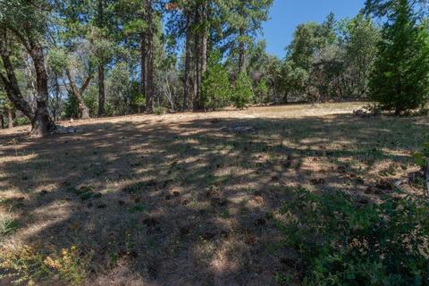 3121 Nugget Dr, Placerville, CA 95667 photo 40
