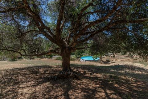 3121 Nugget Dr, Placerville, CA 95667 photo 42