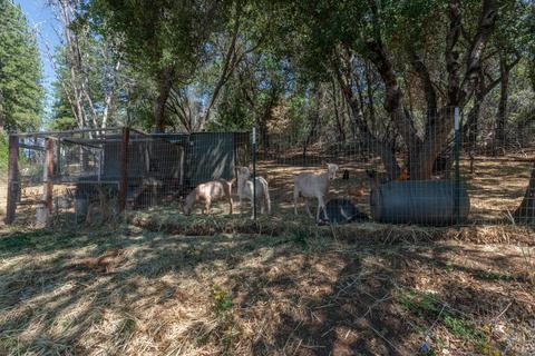 3121 Nugget Dr, Placerville, CA 95667 photo 43