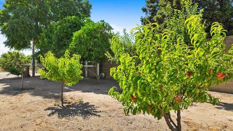 22515 S Frederick Rd, Ripon, CA 95366 photo 59
