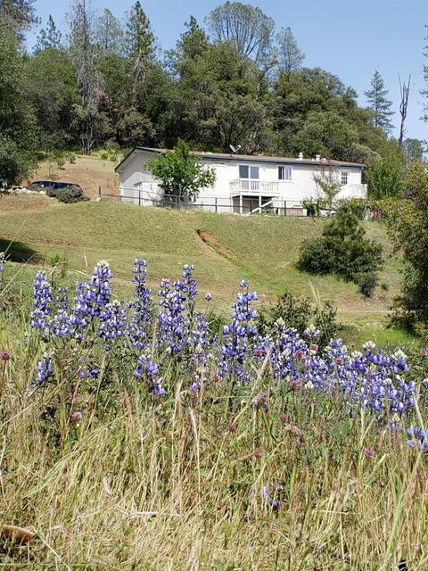 17264 Shake Ridge Rd, Sutter Creek, CA 95685 photo 3