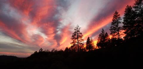 17264 Shake Ridge Rd, Sutter Creek, CA 95685 photo 46