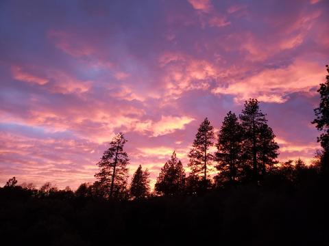 17264 Shake Ridge Rd, Sutter Creek, CA 95685 photo 47