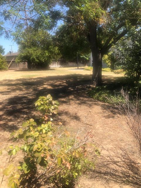 703 Sierra St, Manteca, CA 95336 photo 45