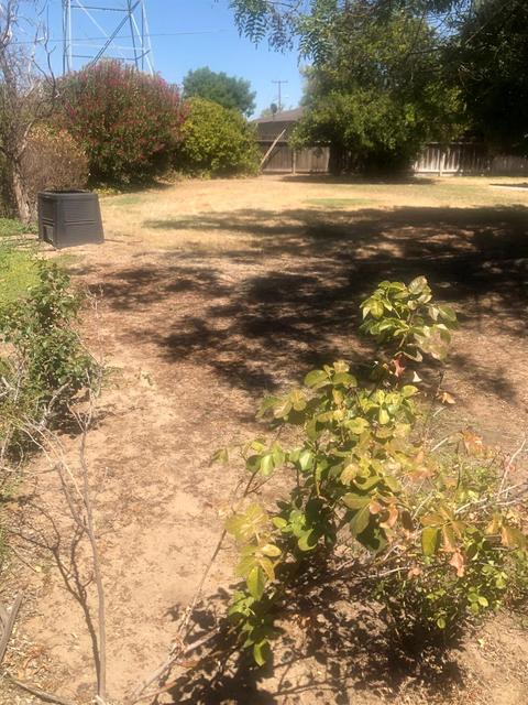 703 Sierra St, Manteca, CA 95336 photo 47