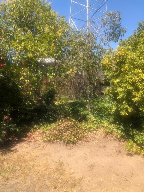 703 Sierra St, Manteca, CA 95336 photo 46