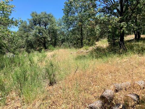 25000 Pineview Dr, Colfax, CA 95713 photo 1