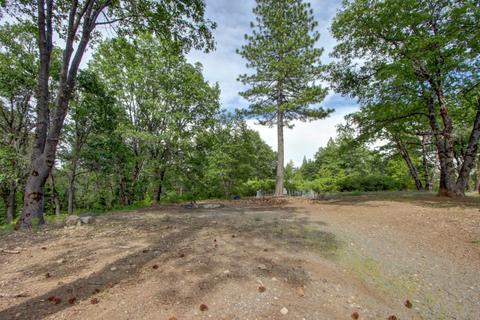 565 Kearsarge Ct, Alta, CA 95701 photo 51