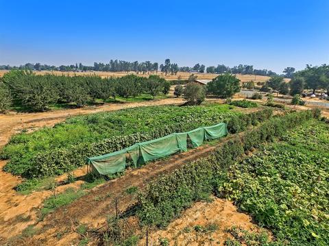 11975 Arno Rd, Wilton, CA 95693 photo 27