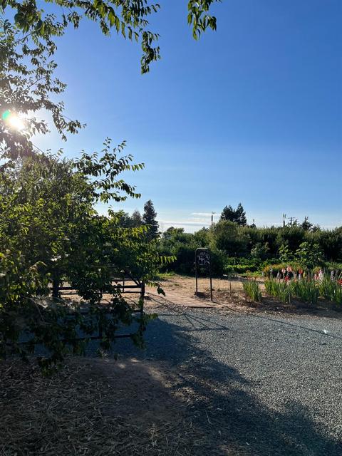 11975 Arno Rd, Wilton, CA 95693 photo 44