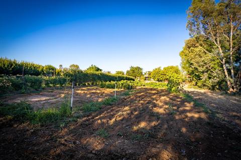 11975 Arno Rd, Wilton, CA 95693 photo 40