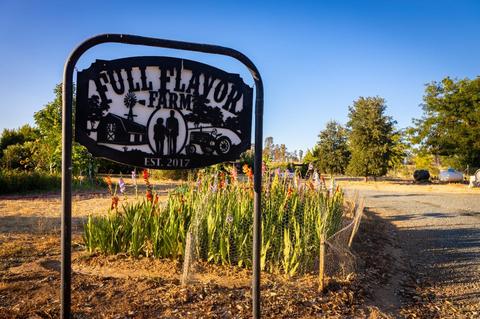 11975 Arno Rd, Wilton, CA 95693 photo 43
