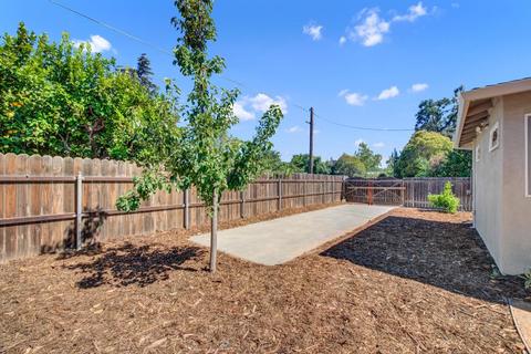 1204 Cypress Ln, Davis, CA 95616 photo 42