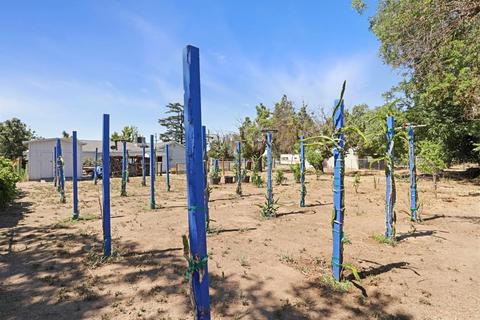 5111 E Live Oak Rd, Lodi, CA 95240 photo 32