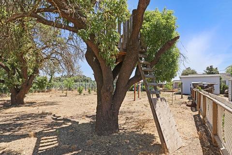 5111 E Live Oak Rd, Lodi, CA 95240 photo 33