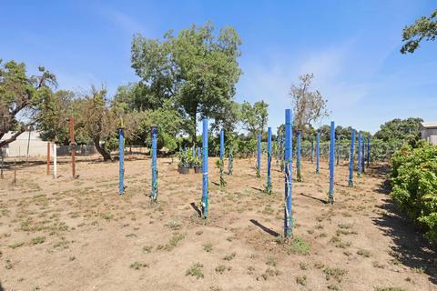 5111 E Live Oak Rd, Lodi, CA 95240 photo 31