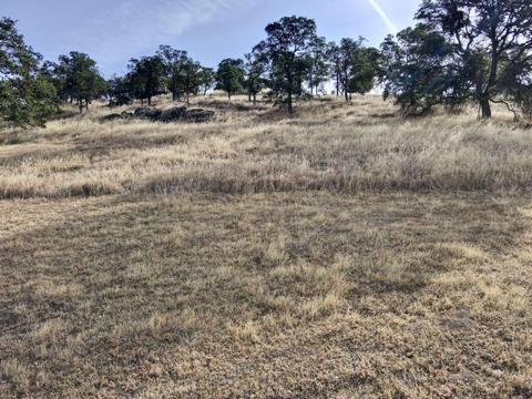 5003 Little John Rd, Copperopolis, CA 95228 photo 15
