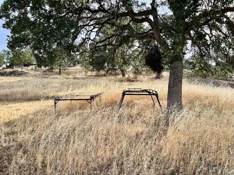 5003 Little John Rd, Copperopolis, CA 95228 photo 24