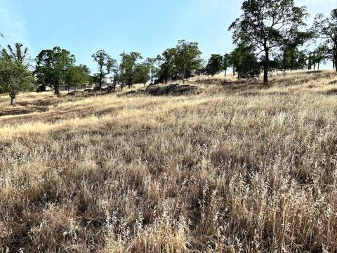 5003 Little John Rd, Copperopolis, CA 95228 photo 25