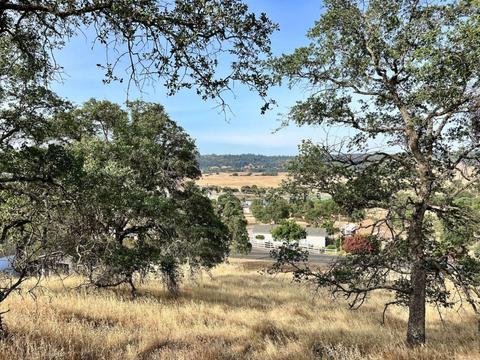 5003 Little John Rd, Copperopolis, CA 95228 photo 7