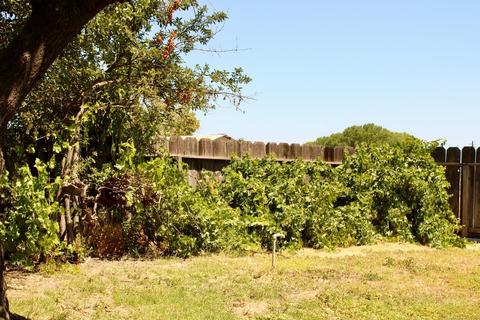 2400 Brier Rd, Turlock, CA 95380 photo 35
