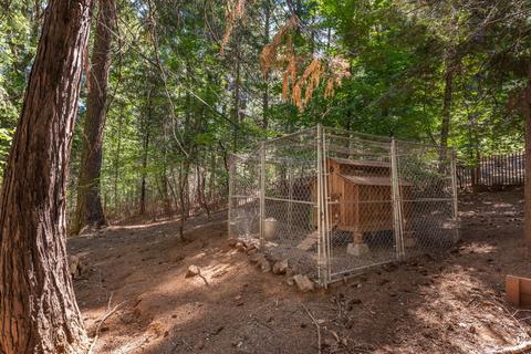 5825 Quick Silver, Pollock Pines, CA 95726 photo 44