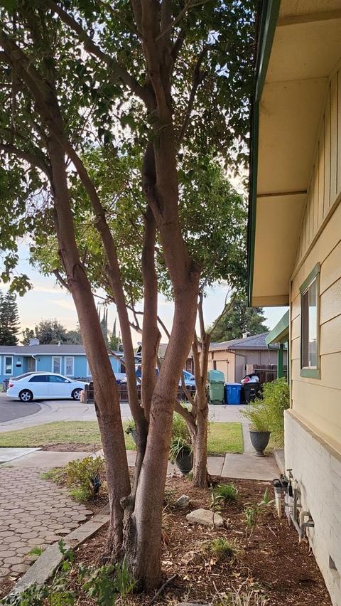 1908 Saturn Ct, Ceres, CA 95307 photo 5