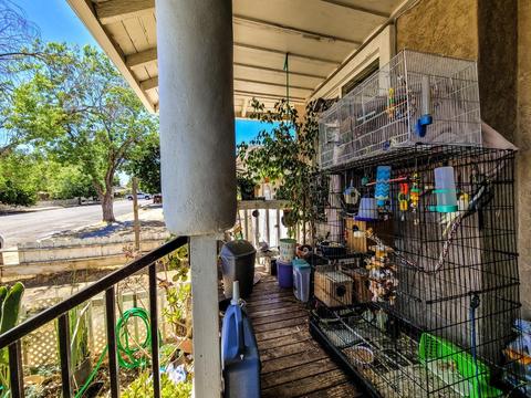 317 S 4th St, Patterson, CA 95363 photo 5