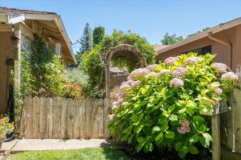 2909 3rd St, Biggs, CA 95917 photo 33