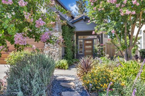 1562 Pinnacles Pl, Davis, CA 95616 photo 1