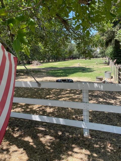 1889 W Biggs Gridley Rd, Gridley, CA 95948 photo 55