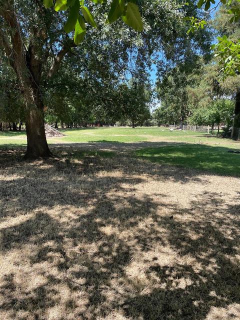 1889 W Biggs Gridley Rd, Gridley, CA 95948 photo 54