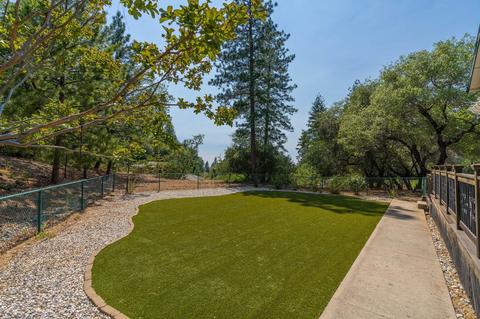 12043 Jackson Pines Dr, Jackson, CA 95642 photo 20