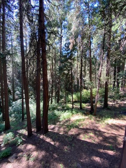 7194 Pine Cone Dr, Pollock Pines, CA 95726 photo 53