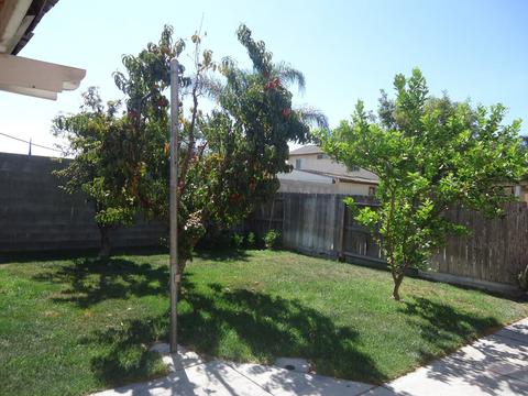 2772 Skybrite Dr, Ceres, CA 95307 photo 23